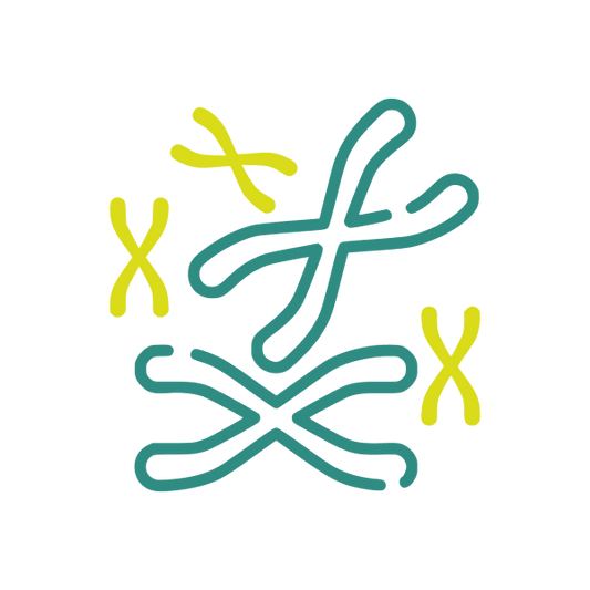 Cytogenetics Image